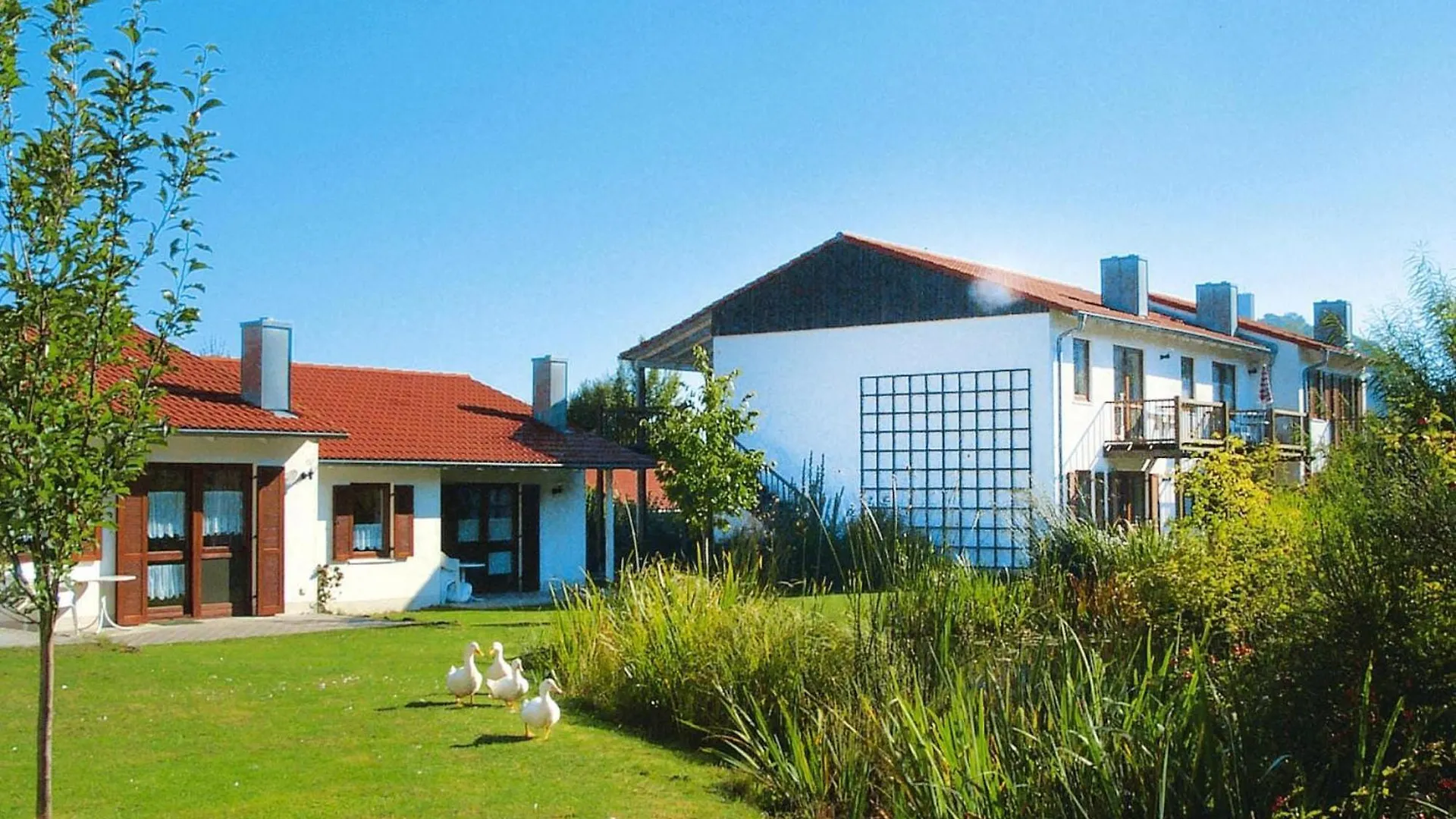 Apartment Ferienwohnung Im Ferienpark Falkenstein Falkenstein