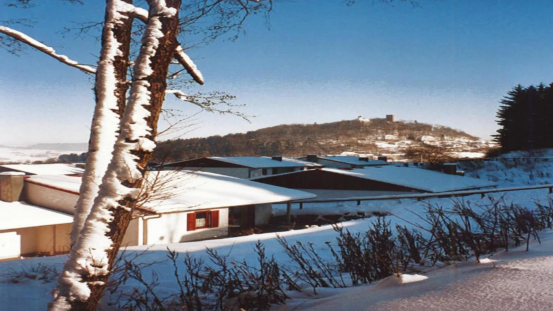 Ferienwohnung Im Ferienpark Falkenstein Falkenstein
